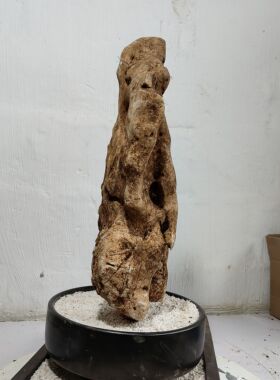 太湖石观赏摆件石英石墨石玲珑石盆景附石奇石天然原石点香石 A