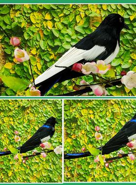 布景喜鹊羽毛婚庆摄影七夕摆件