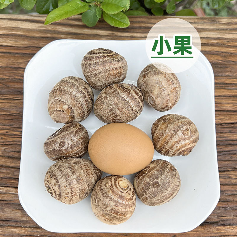 当季现挖新鲜芋头山东牛奶小芋头子毛芋头仔农家竽头芋艿芋仔蔬菜