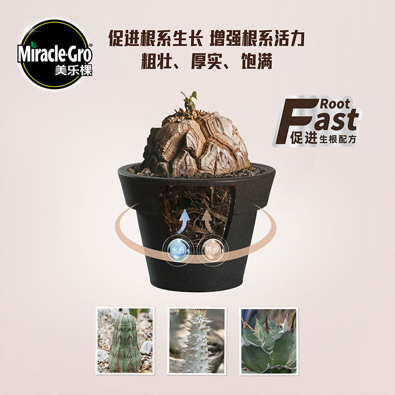 美乐棵块根营养液象牙宫山乌龟专用花卉盆栽肥料通用型有机肥,淘宝优惠券,粉丝福利购,淘宝优惠卷