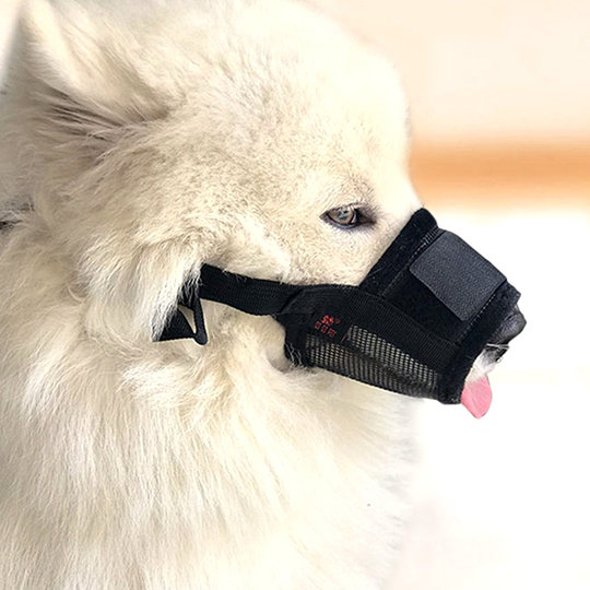 Anti-barking device for medium and large dogs to drink water dog muzzle