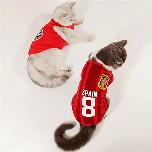 网红小猫咪衣服宠物猫潮牌春夏季薄款可爱背心式英短春秋蓝猫夏天 - 图0