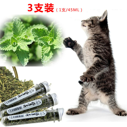 猫零食猫薄荷草宠物猫咪兴奋用品猫草去毛球化毛猫薄荷粉博荷叶子 - 图1