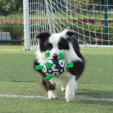 Футбольная интерактивная эластичная игрушка, избавление от скуки