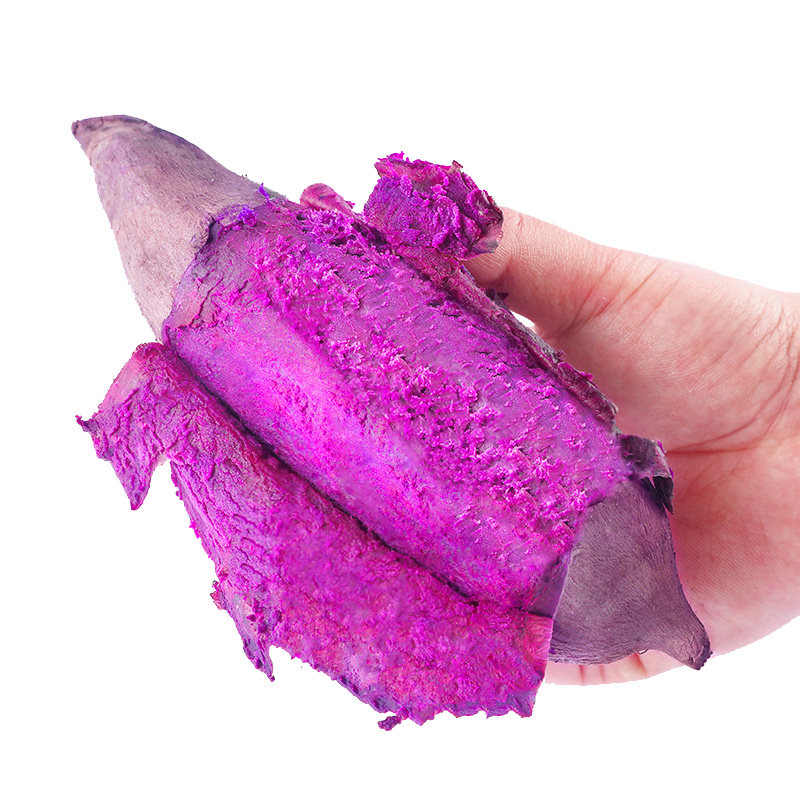 新鲜10斤农家包邮红小番薯板栗红薯 沁园春水果番薯