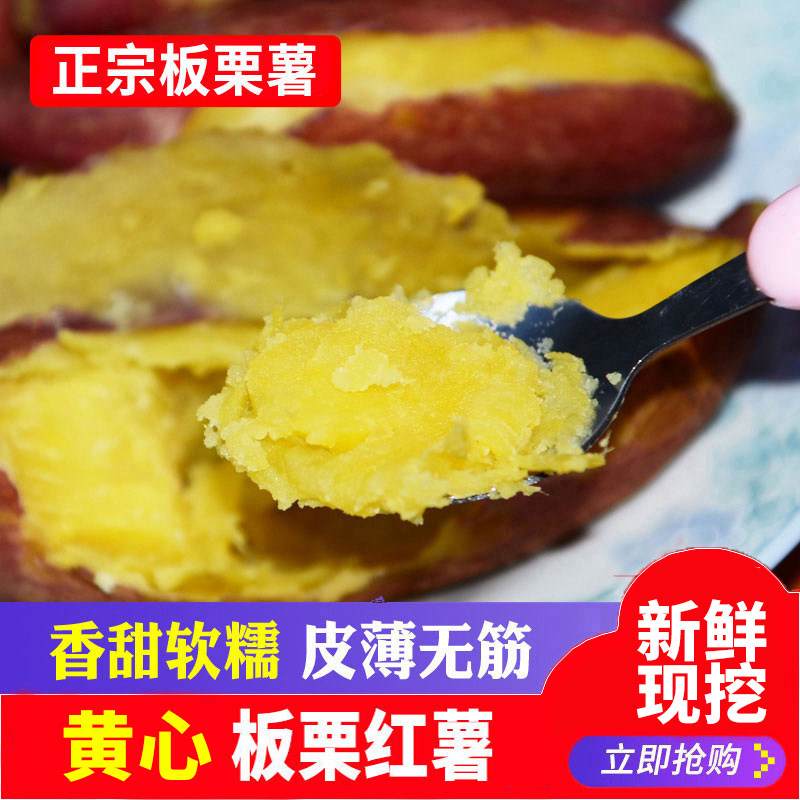 正宗新鲜黄心农家小红10斤板栗红薯 沁园春水果番薯