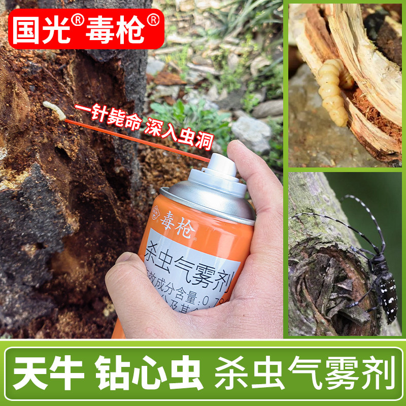 国光天牛杀虫剂树洞无花果树杀钻心虫幼虫树木克灭防虫药蛀虫喷剂