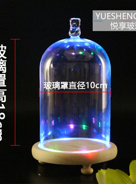 diy永生花手办防尘罩透明工艺品