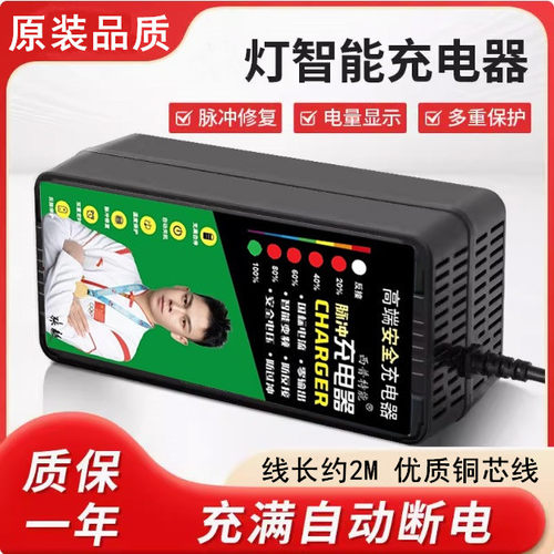 适用绿源电动车48V12AH60V20AH72VT铅酸两竖原装版充电器自动断电 - 图3