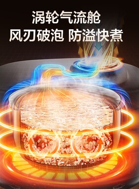 苏泊尔4L小快琉瓷球釜智能电饭煲