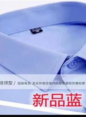 2026新款白底蓝条假领子男女通用浦发银行衬衫衣领装饰领百搭毛衣