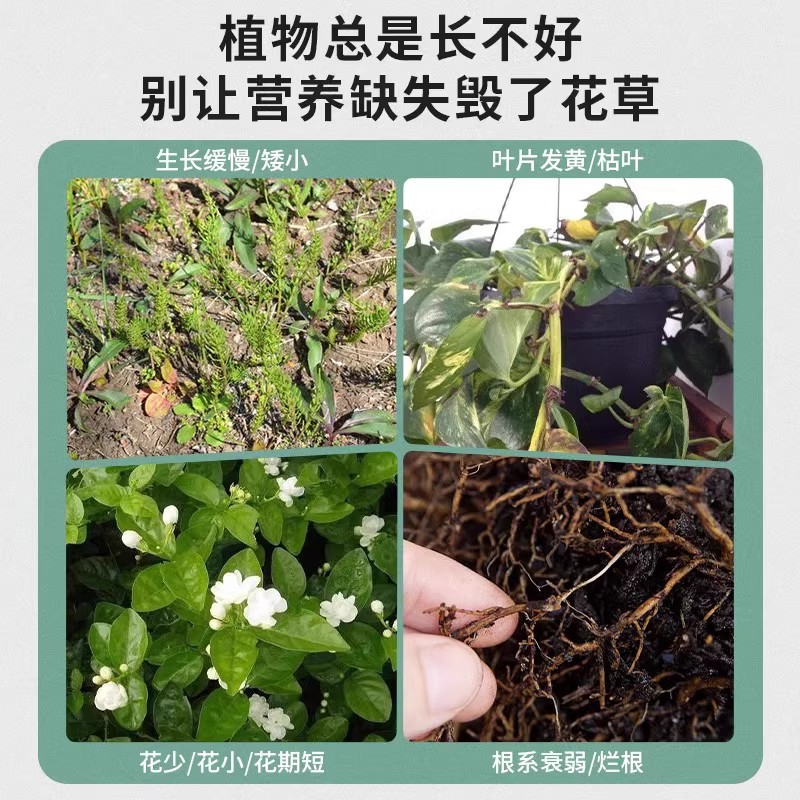 德国慕尼黑科学院植物急救包营养缓释片通用版黄叶枯叶烂根专用肥 - 图0