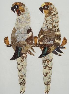 西洋收藏品 实木画框手工制作蝶蛾鳞翅片画 复古挂画装饰摆件