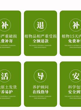 锦绣牡丹多肉小盆栽绿植室内办公室桌面客厅四季好养花卉肉肉植物