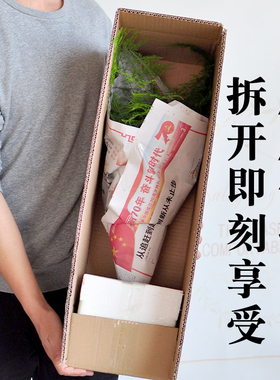 大文竹盆栽植物室内大型盆景吸除甲醛四季常青绿植花卉好养种易活