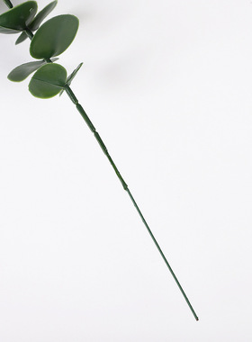 单束仿真尤加利金钱叶婚礼家居插花仿真花绿植造景假树枝装饰