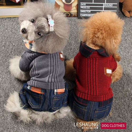 Тедди щенка одежда для собак осенью и зима милая четырехдушная толстая женщина -домашняя кошка