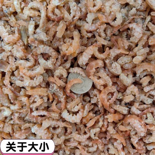 大连金钩海米500g特产干货即食海鲜淡干小虾米干虾仁虾皮当季新货 - 图1