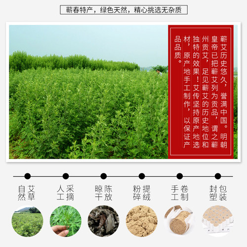 艾柱纯艾灸条正品陈年艾草绒短粒棒蕲艾灸盒随身灸家用官方旗舰店 - 图1