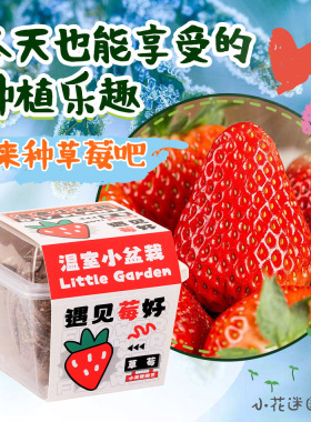 新款儿童diy种植盆栽盲盒