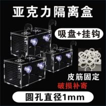 Fish Tank Isolation Box Transparent Acrylic Fish Fry Hatchbox Small Fish Isolated Peacock Mini Parrot Breeding Box