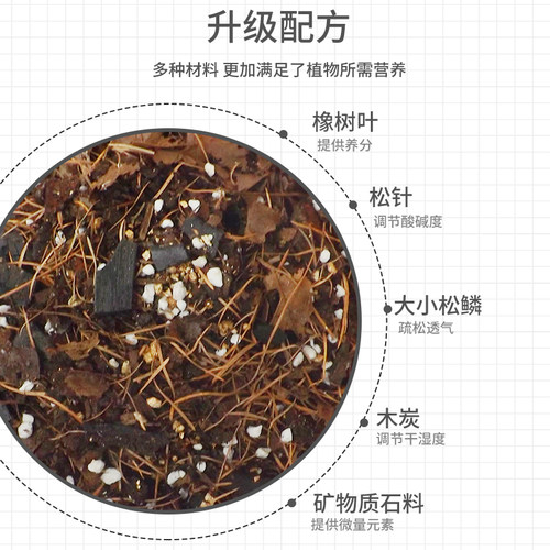 君子兰花土兰花专用土松树皮兰科多肉有机肥腐叶土花卉绿植专用土 - 图1