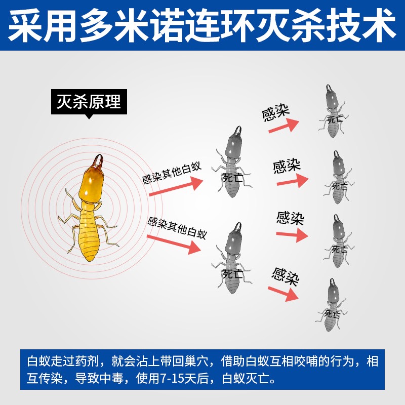 进口白蚁药德国拜耳特密得杀白蚂蚁灭粉饵剂杀虫剂全窝端100m包邮 - 图2