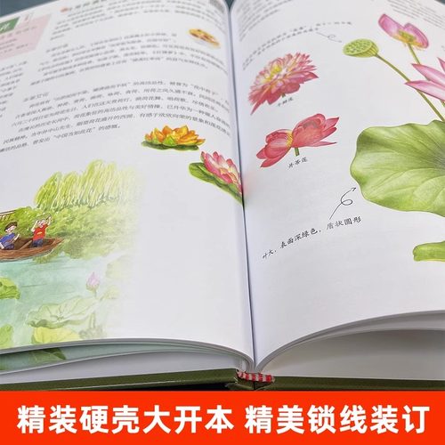 奇妙的本草世界二十四节气本草百科中医文化中草药全图鉴中草药彩图大全书少儿科普中小学生儿童学习本草知识大全书籍-图3