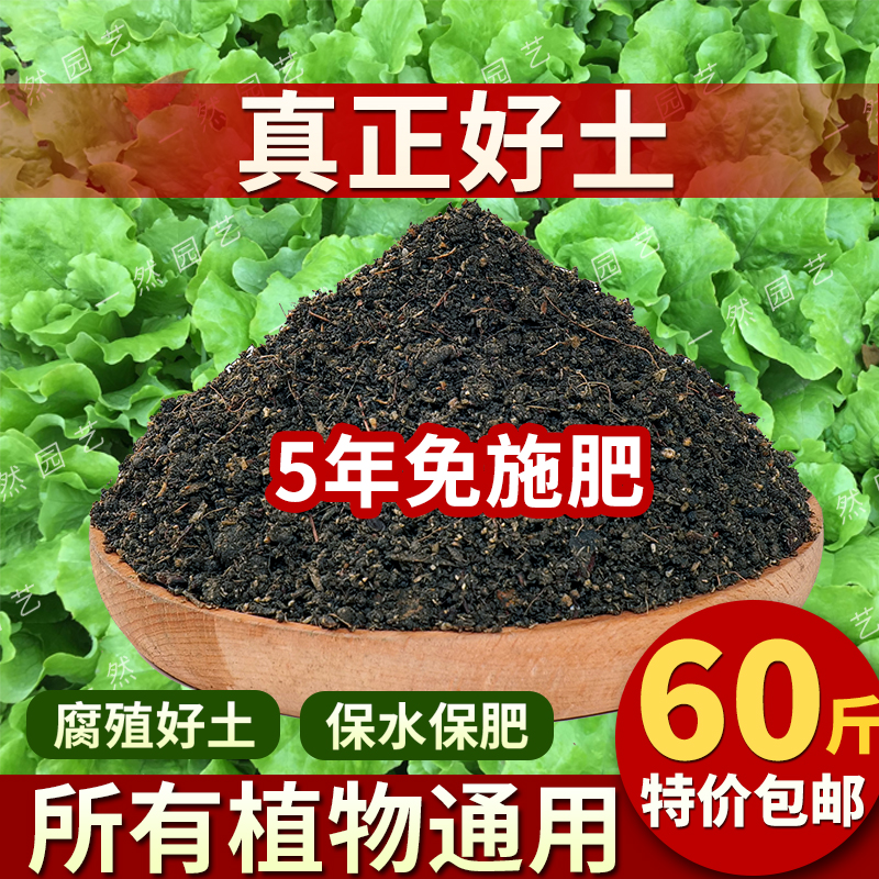 营养土养花专用通用型种菜土植物盆栽土种花土阳台蔬菜种植黑土壤-图3