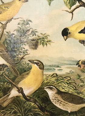 现 纽约下城公园进口古典百鸟园波浪边手工上色木质纸巾盒垃圾桶