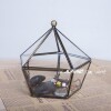 Simple transparent glass wedding ring jewelry box purification box