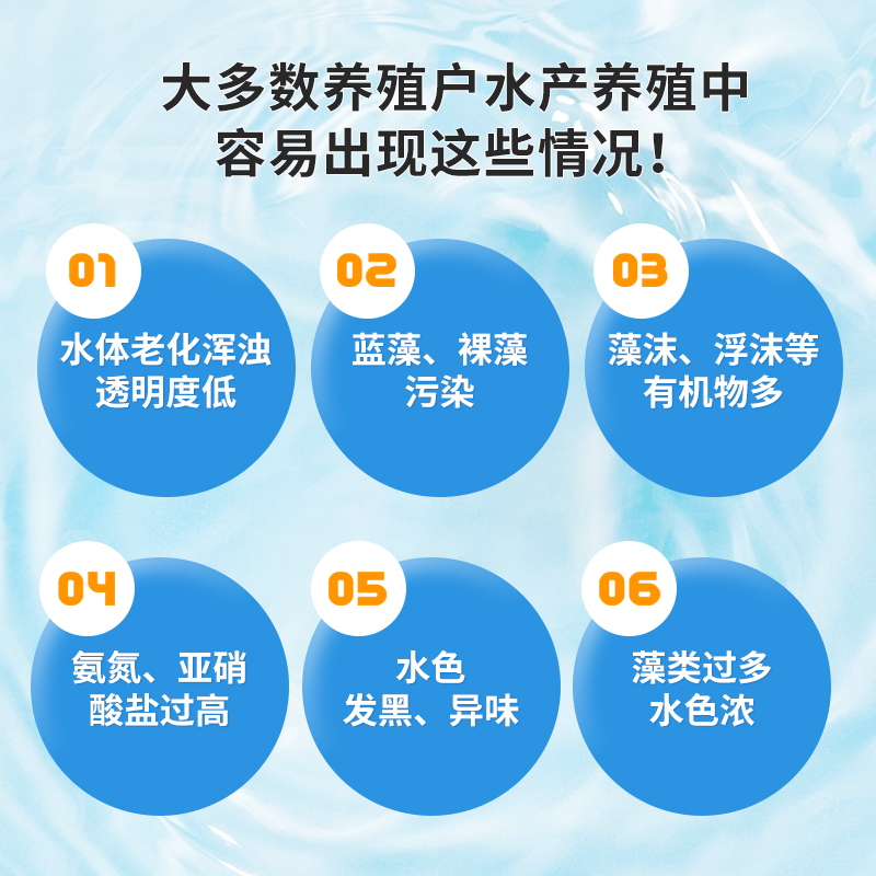 复合芽孢杆菌原粉em菌种降解氨氮亚盐硫化氢调水肥水产养殖益生菌 - 图3