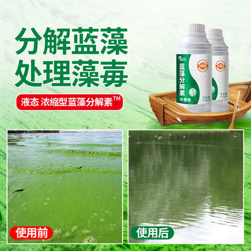 蓝藻分解素蓝藻速灭水产养殖小龙虾蟹鱼塘蓝藻分解酶除蓝藻毒速净 - 图1