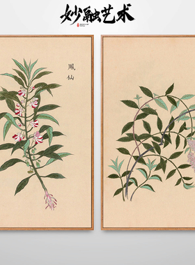 中草药植物挂画中医馆药房装饰画