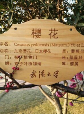 花草牌标识牌鲁神匠树木木质