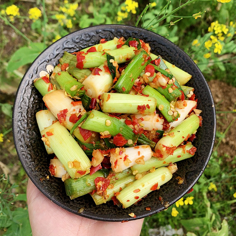 新鲜制作腌大蒜苗蒜根须杆蒜叶下饭菜酱菜辣椒酱剁椒咸菜腌菜拌面 - 图1