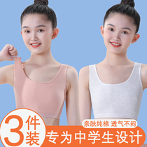 Girl Lingerie Hair Birth Primary School Pupils First Stage A Class Of Pure Cotton 11 Year Old 6-18 Less Girl Child Little Vest