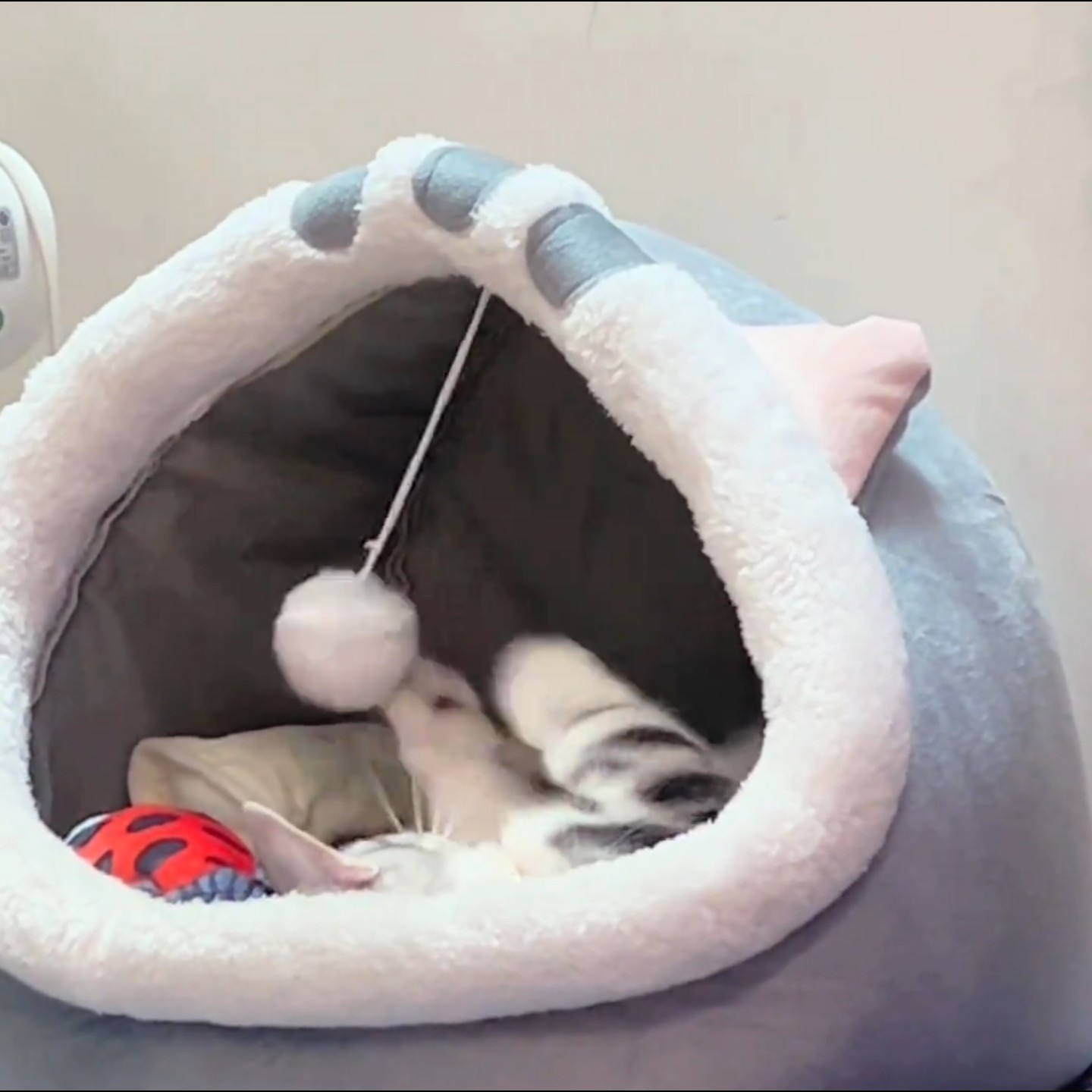 半封闭猫窝狗窝粉色兔子猫屋宠物四季通用睡觉的窝毛绒别墅保暖床,淘宝优惠券,粉丝福利购,淘宝优惠卷