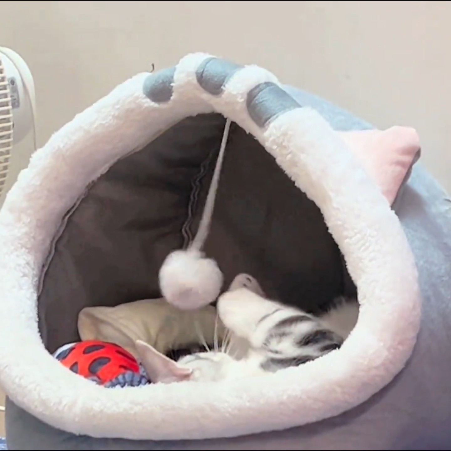 半封闭猫窝狗窝粉色兔子猫屋宠物四季通用睡觉的窝毛绒别墅保暖床,淘宝优惠券,粉丝福利购,淘宝优惠卷