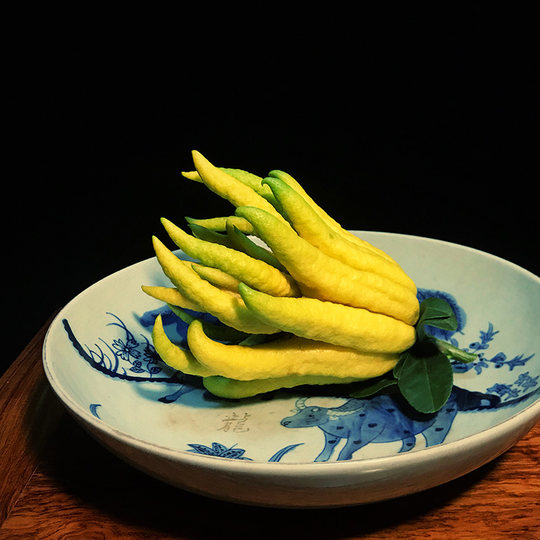 Freshly picked Jinhua Bergamot fruits are available for viewing