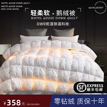 Down Quilt 95 White Goose Down Winter Quilt Single Hotel Spring Autumn Winter Duck Suede Full Cotton Quilt Core Winter Thickened Warm