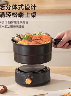 110V220V电煮锅美欧规台湾便携式折叠锅旅行出差分体火锅煎煮蒸锅