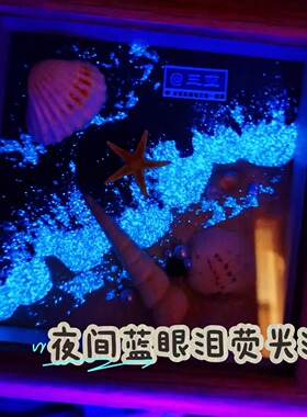 大连蓝眼泪夜光贝壳旅游纪念品