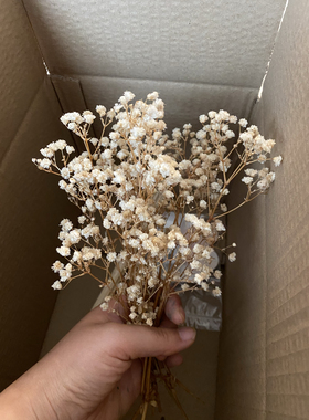 满天星永生花 花艺花束装饰品