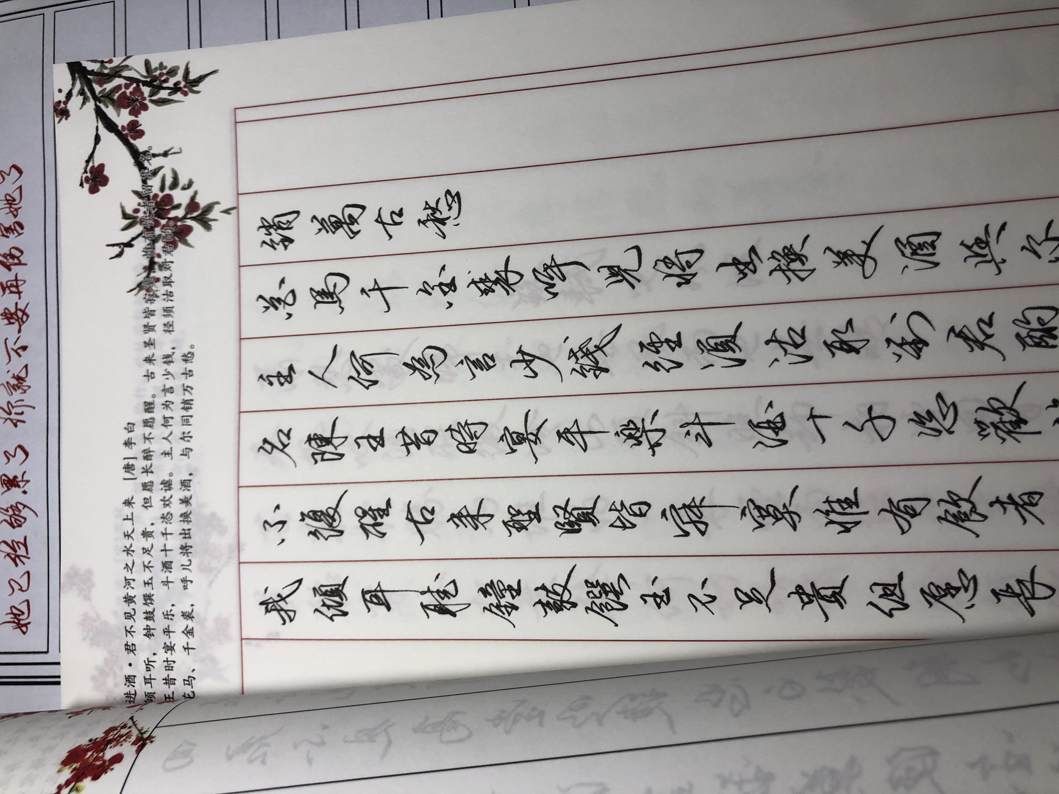 雪帅手写练字成人繁体字《雪帅诗词作品集》成人超值唯美练字帖