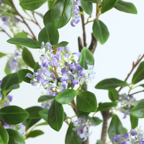 Моделирование Qianli Дерево ладана псевдома растения