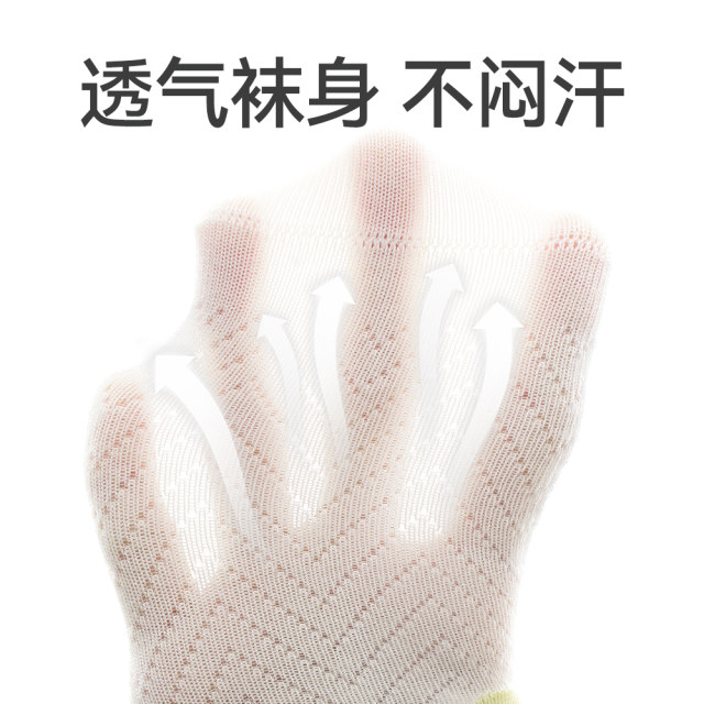 Xiaolongren Antibacterial Boneless Boy's Mid-Tube ຖົງຕີນຝ້າຍບາງໆ