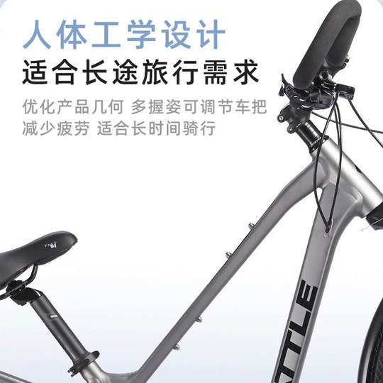 Fujita travel road bike 22-speed butterfly handlebar