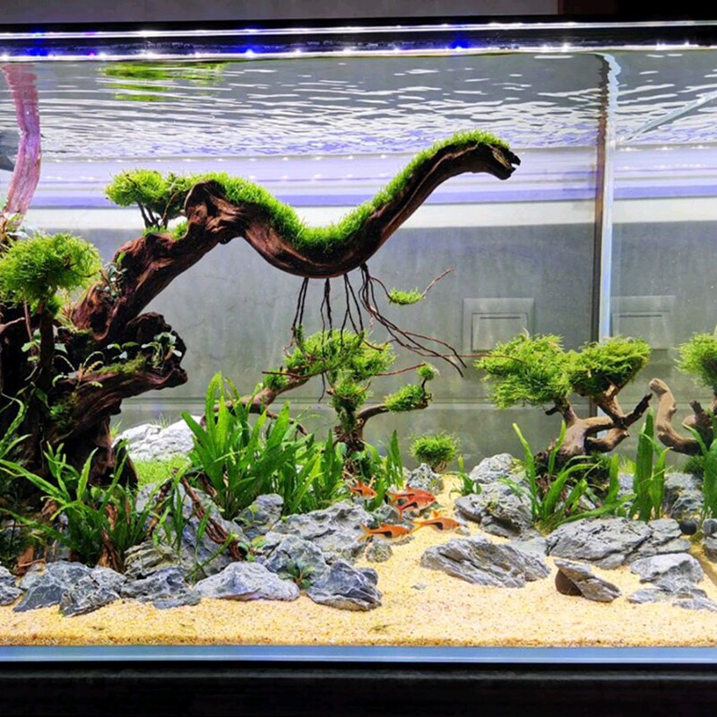 鱼缸底砂造景净水河沙化妆沙小白石头乌龟冬眠水晶沙细白沙黑金沙 三生石斋店 淘优券