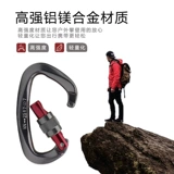 Альтеранскую пряжку погружение D -Тип